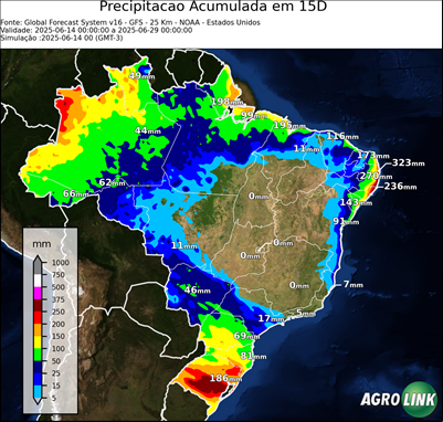 15 dias